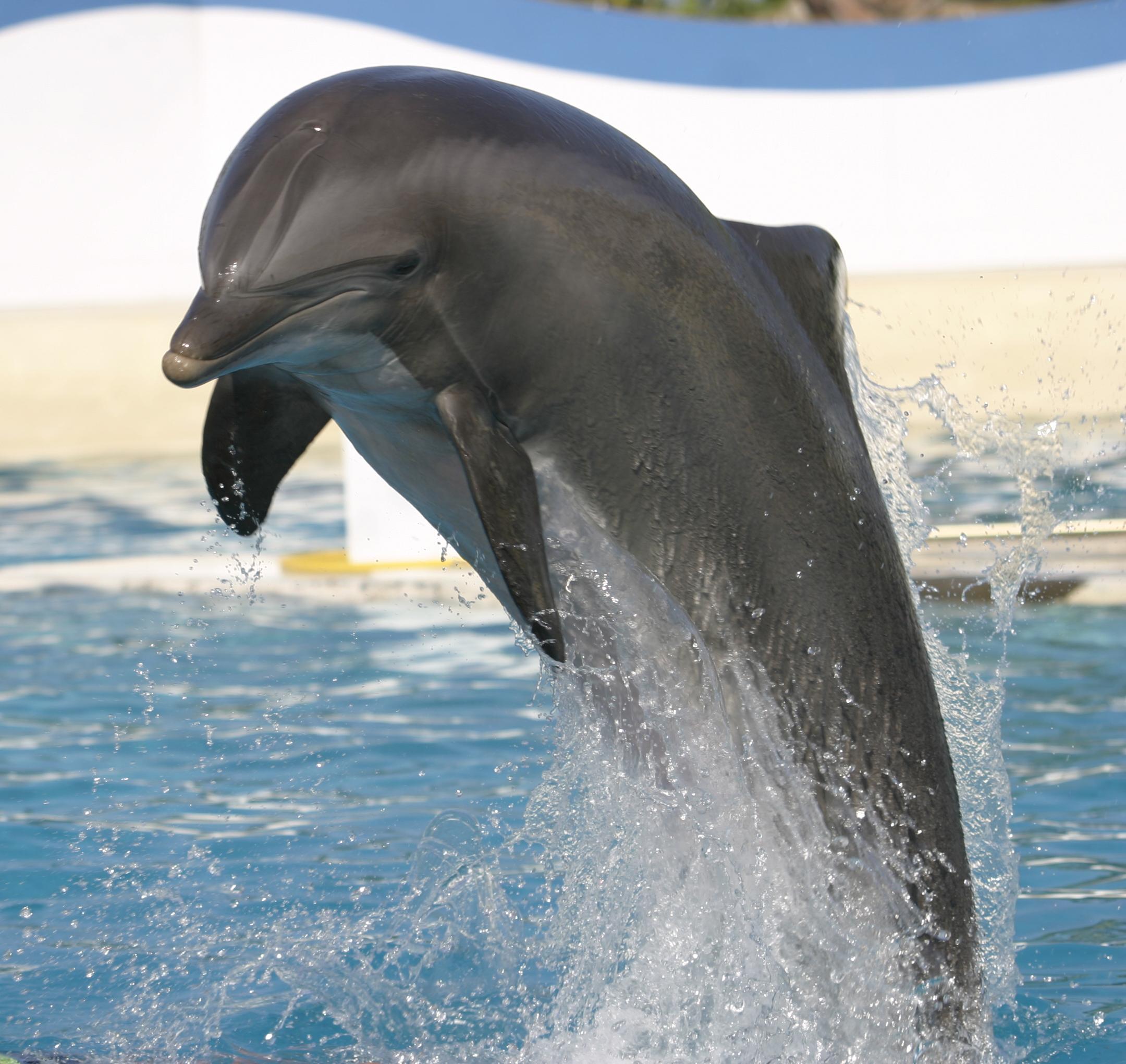 Marineland Resort Antibes Ngoại thất bức ảnh